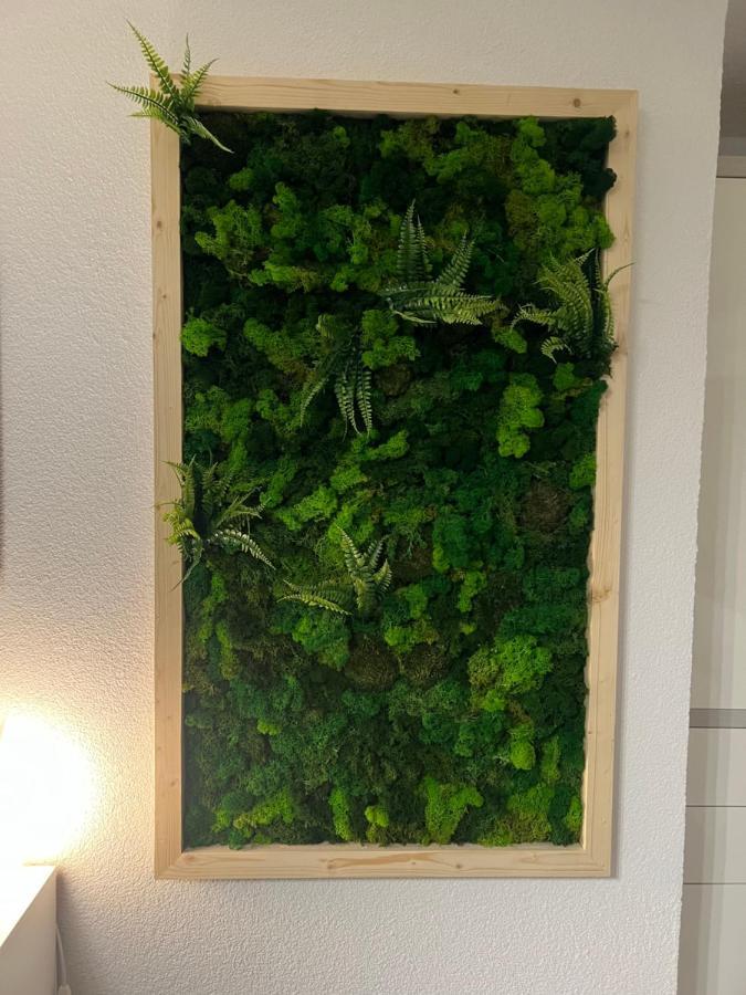 Appartement Bergwaerts Rickenbach  Eksteriør bilde